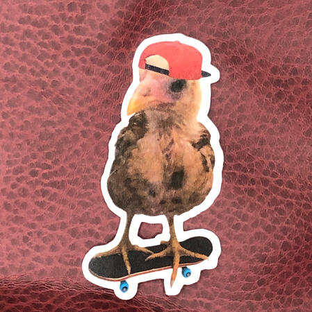 larry w/ hat ($3 USD, all profit goes to chicken treats in his honor)