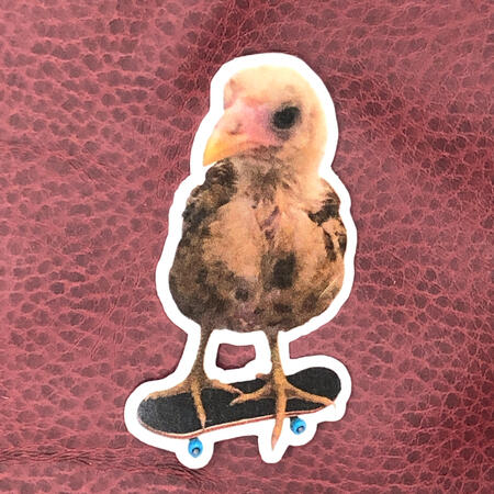 larry ($3 USD, all profit goes to chicken treats in his honor)