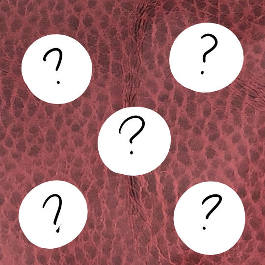 MYSTERY BUNDLE: 5 random stickers ($12 USD)